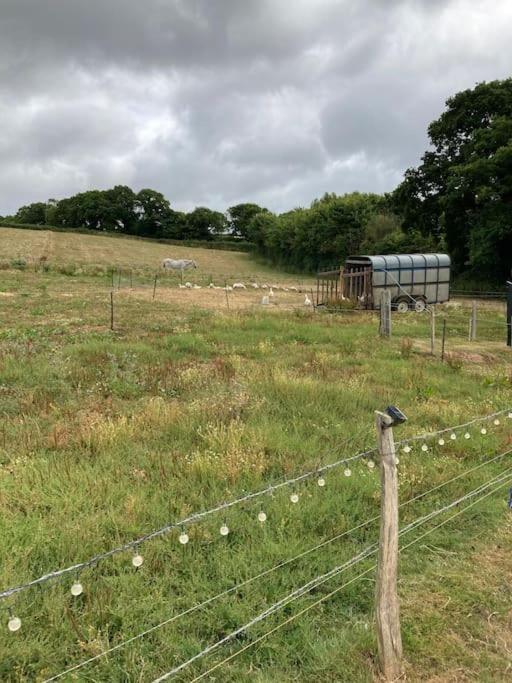 Park Gate House Farm Holidays, Colyton-'Elizabeth Екстериор снимка